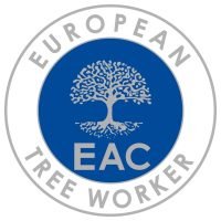 European tree worker in Münster